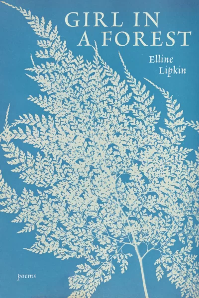 turquoise-colored book cover with image of white fern
