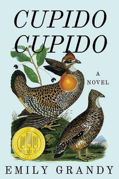 Cupido Cupido, a novel by Emily Grandy