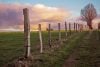 Old fence on hill with tree and clouds