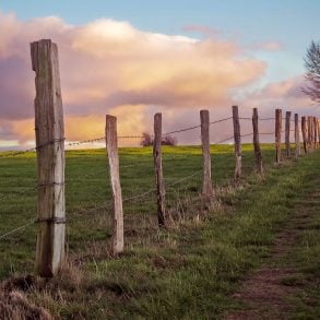 Old fence on hill with tree and clouds