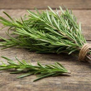 Rosemary sprigs, tied