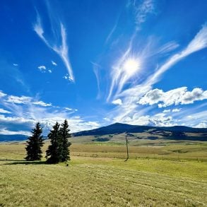 Montana grasslands and mountains