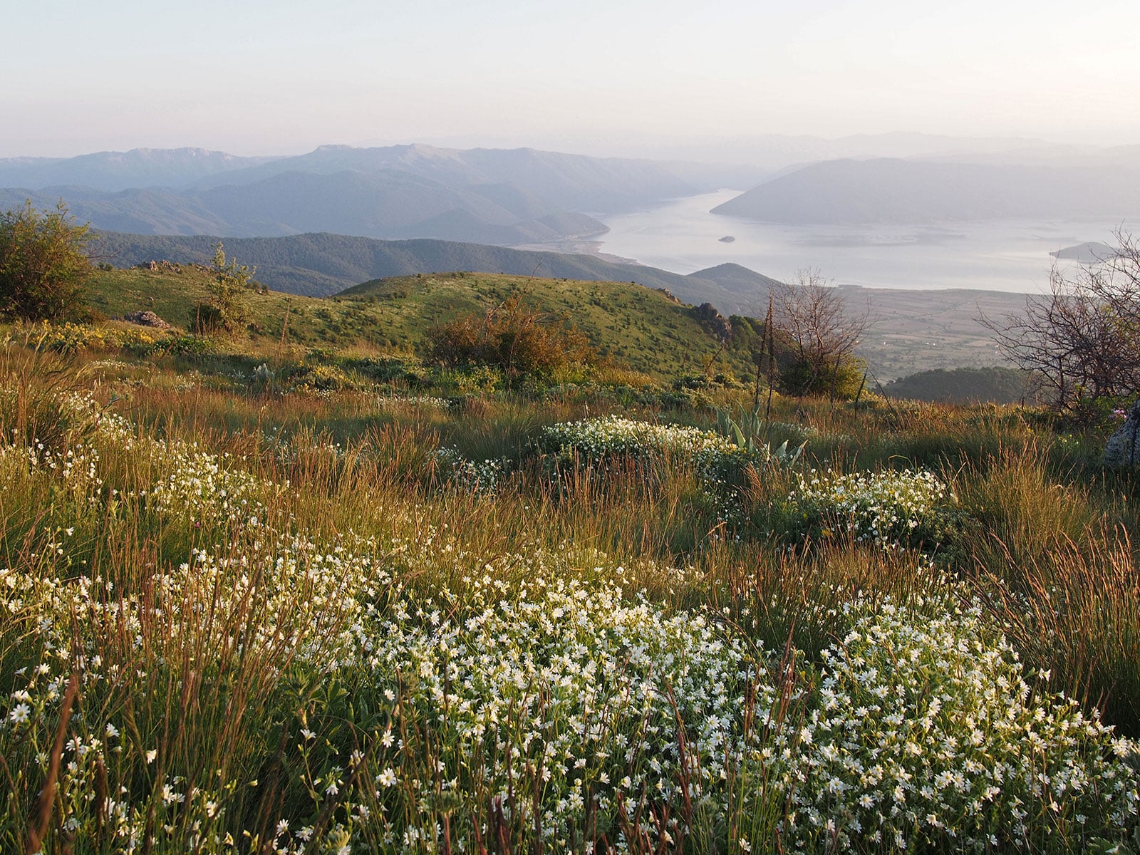 Prespa lakes viewed from mountains