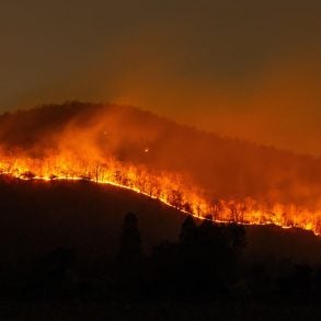 Wildfire on mountain