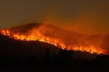 Wildfire on mountain