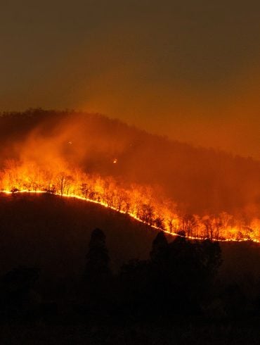 Wildfire on mountain