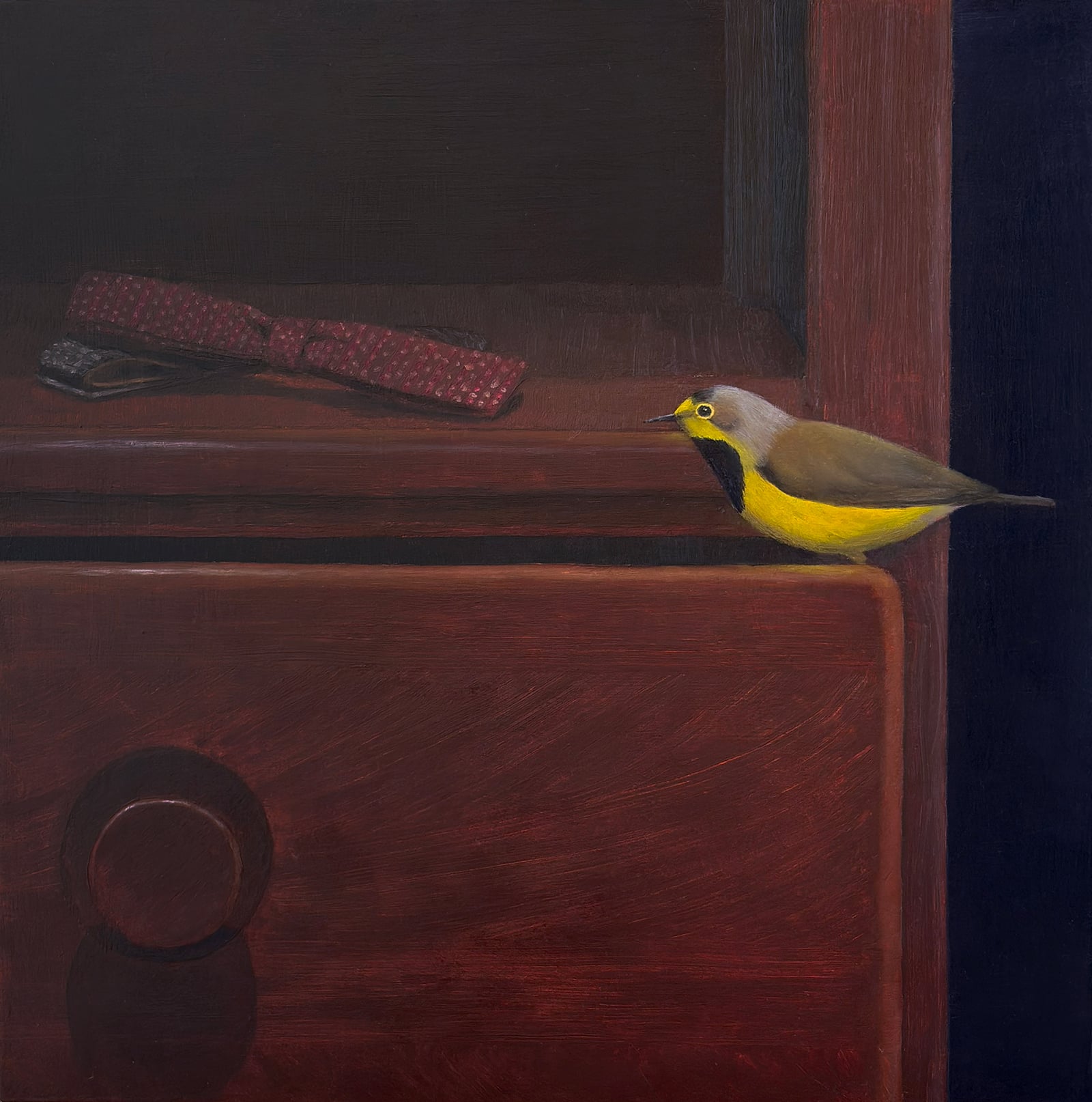 Bachman’s warbler, with Papa’s bow ties