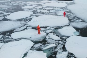 Polar scientists on ice